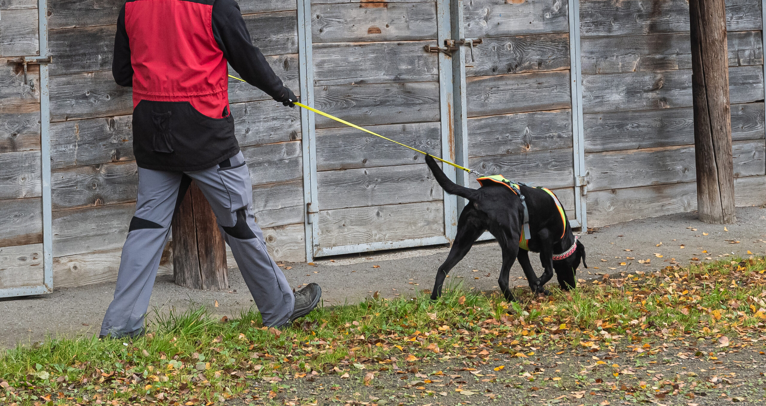 Read more about the article Faszination Tracktrailing – Für wen geeignet? Selbstcheck