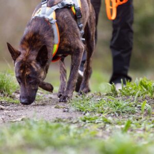 Achtung Suchtgefahr! – Risiken und Nebenwirkungen