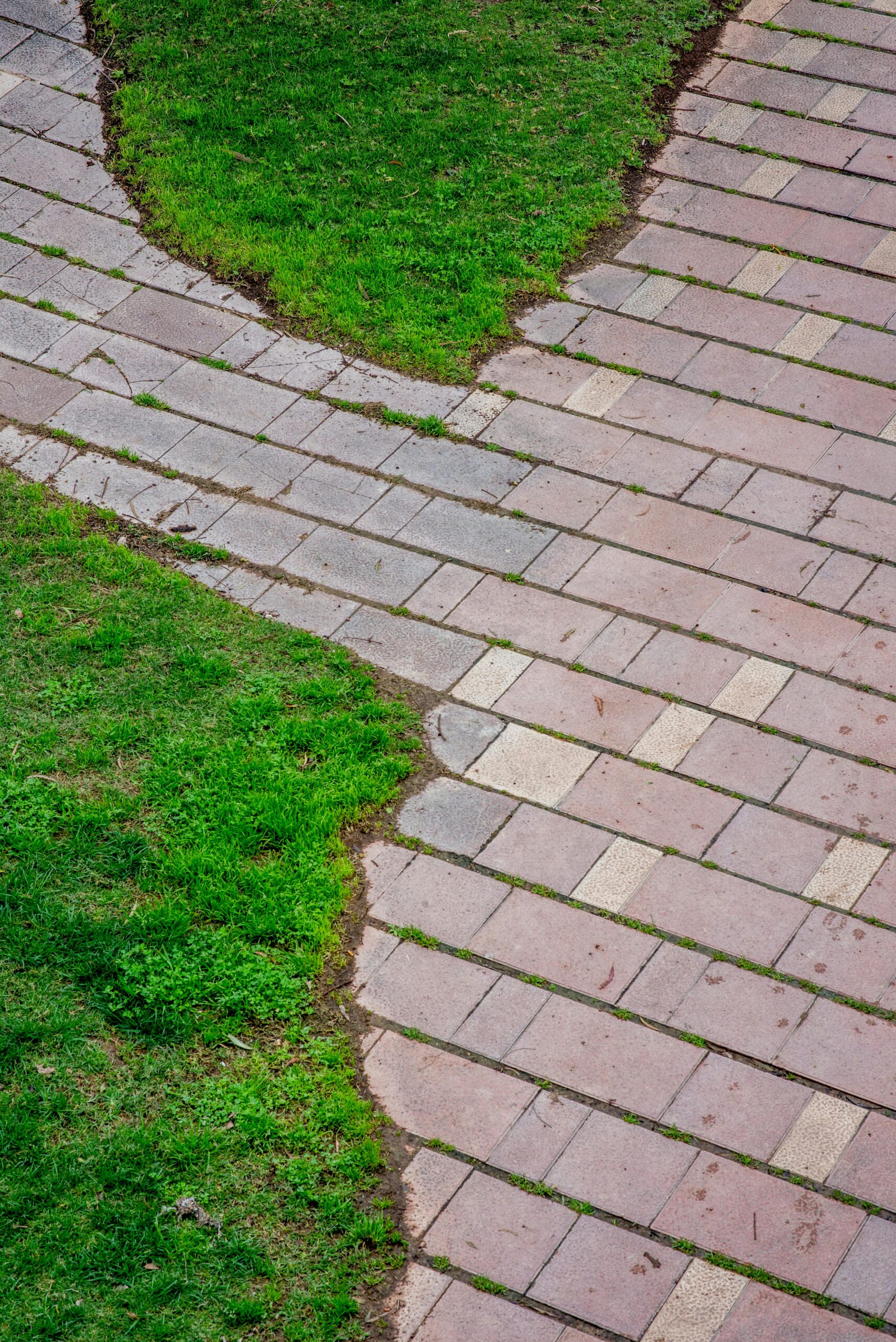 Read more about the article Essentiell! Das Training unterschiedlicher Untergründe